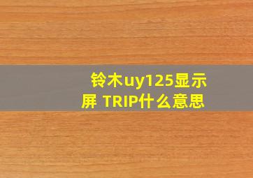 铃木uy125显示屏 TRIP什么意思